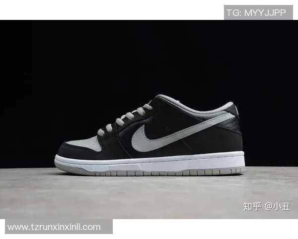 成都滑板队与深圳滑板队赛后战术分析与总结探讨